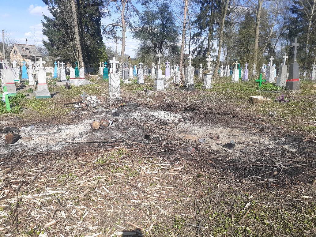 На цвинтарі зрубали 150 дерев: сосни, дуби, ясени…
